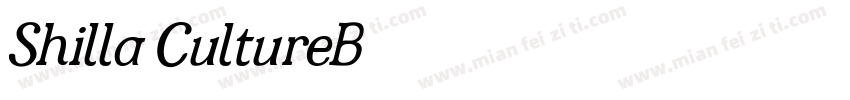 Shilla CultureB字体转换